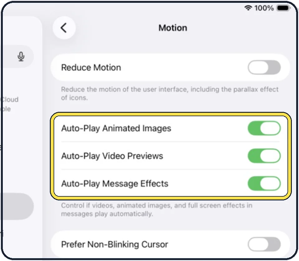 iPad screenshot: Decide about the three Auto-Play switches