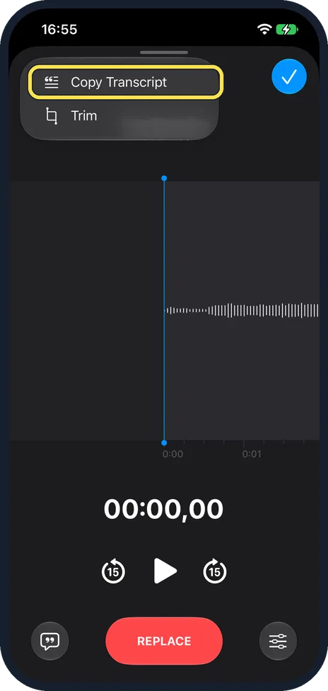 iPhone screen: To copy it, tap More, then Copy Transcript