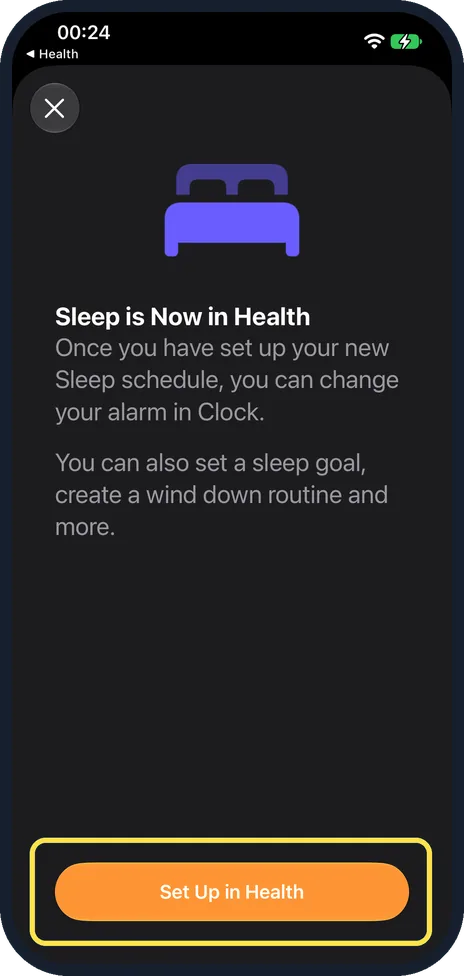 iPhone screen: Tap Set Up in Health