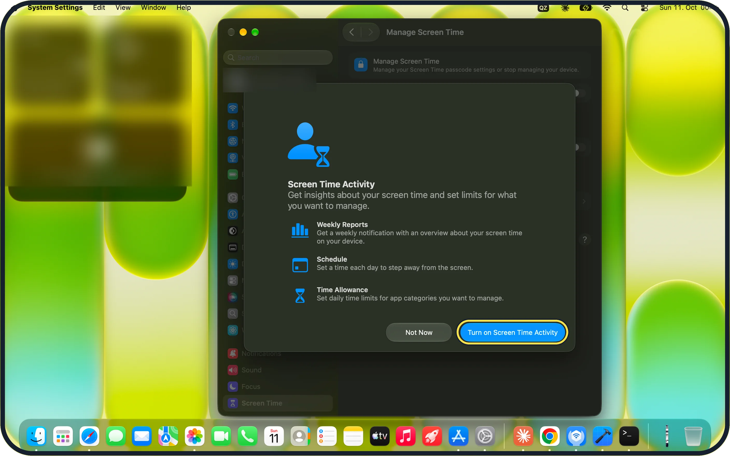 Mac screenshot: Click Turn on Screen Time Activity