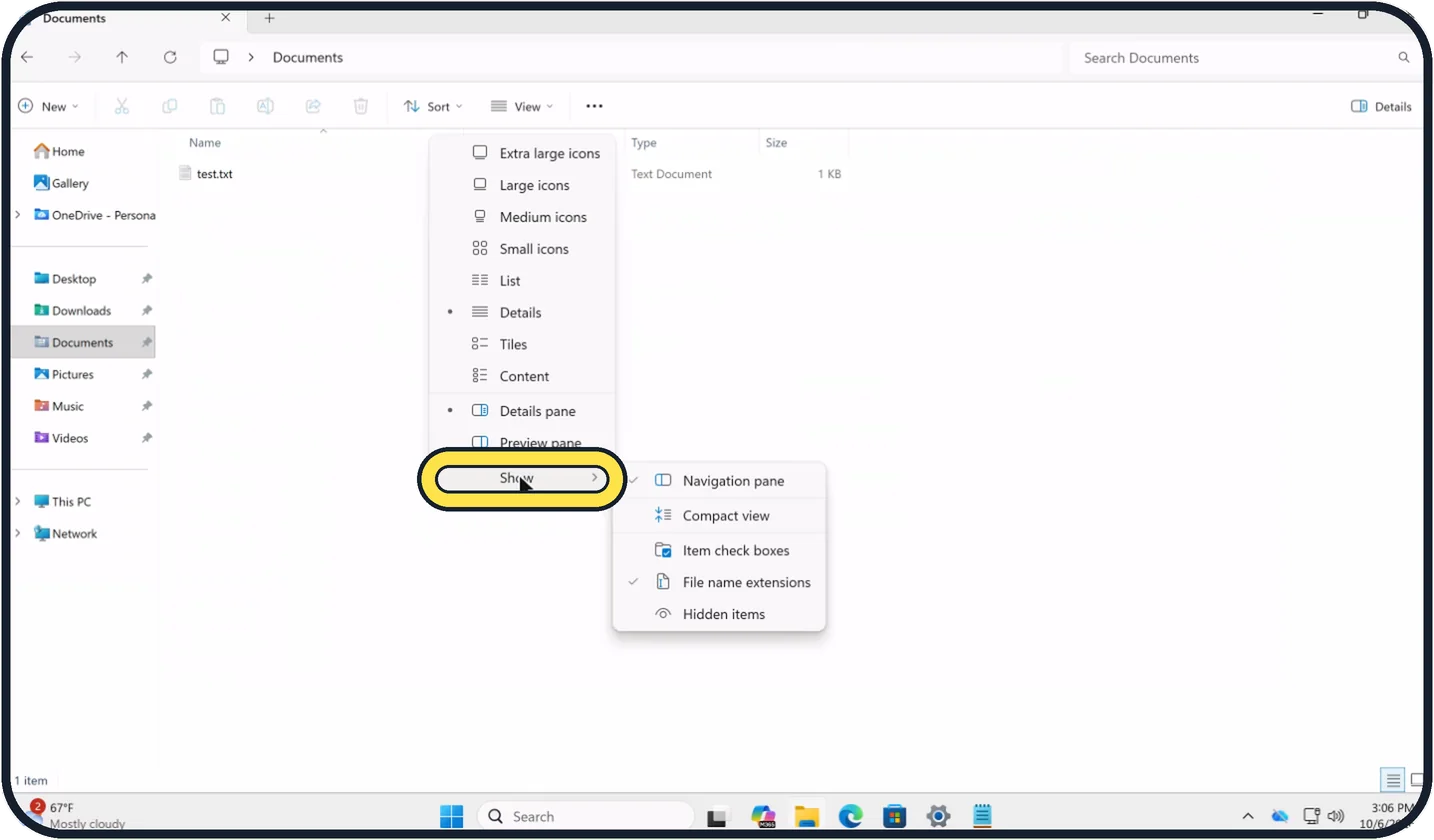 Windows screenshot: Point to Show