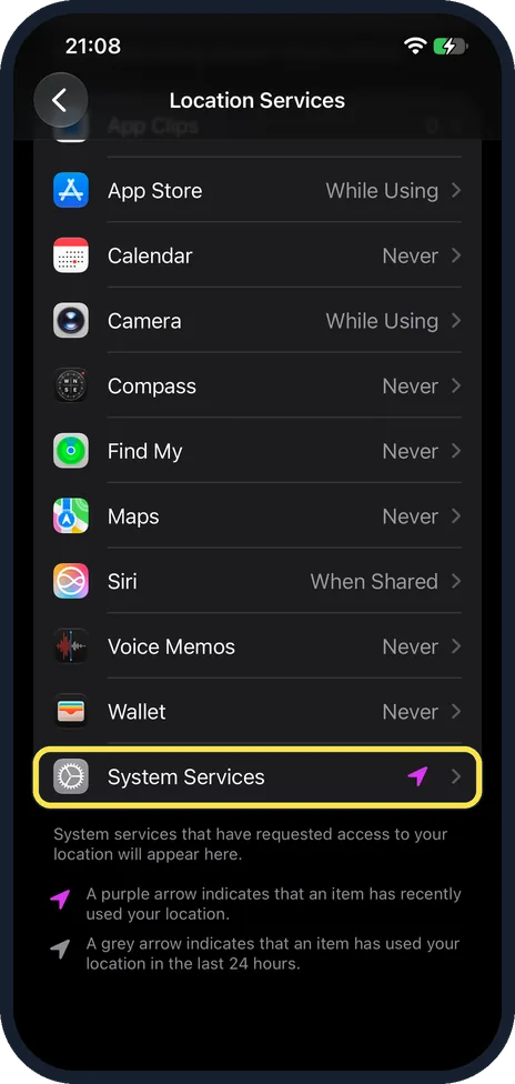 iPhone screen: Scroll down and tap System Services