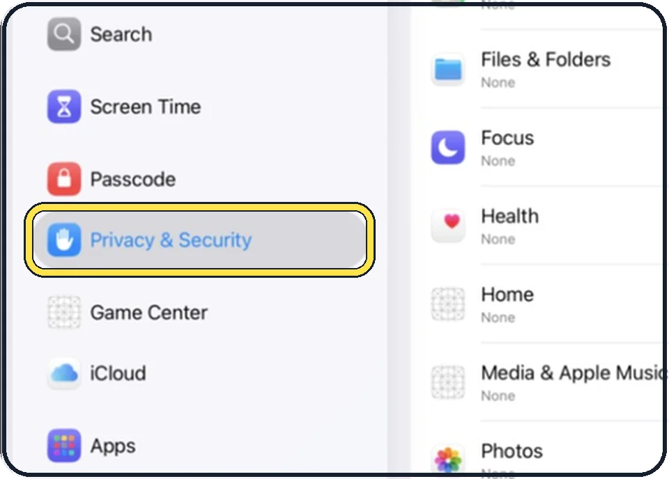 iPad screenshot: Tap Privacy & Security