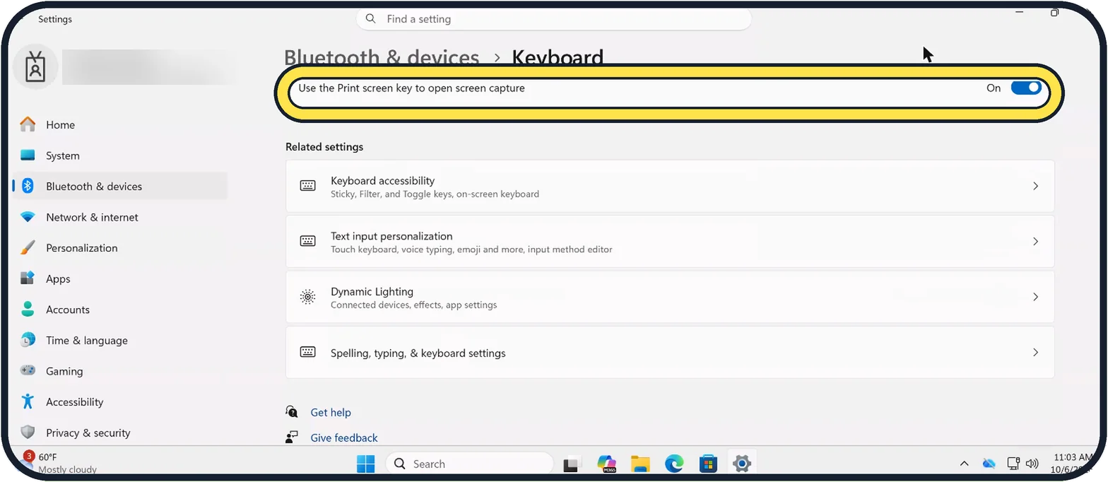 Windows screenshot: Find the Print screen switch