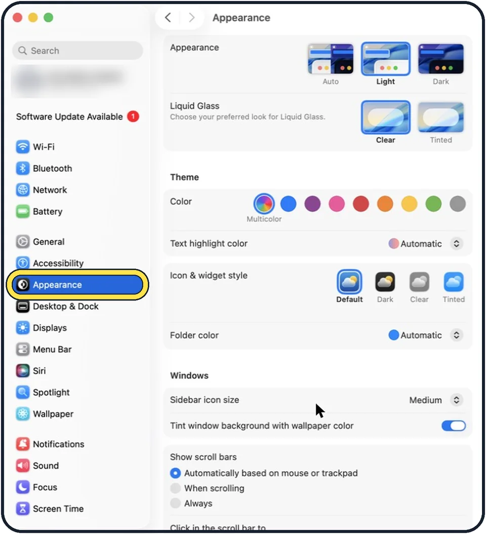 Mac screenshot: Click Appearance in the sidebar