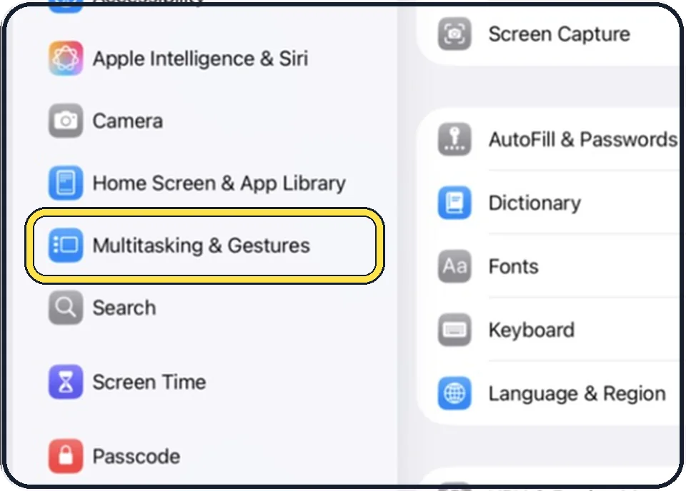 iPad screenshot: Tap Multitasking & Gestures