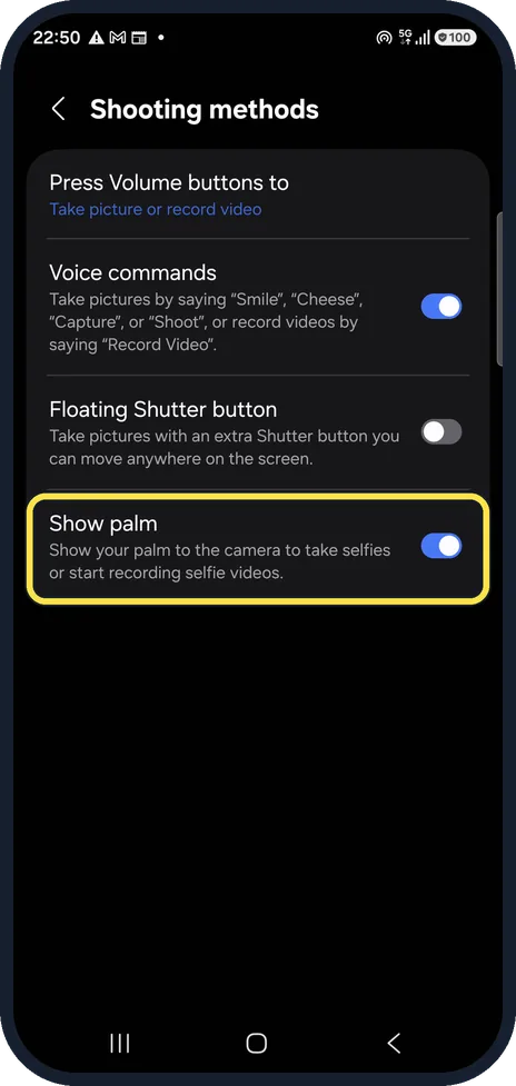 Android screenshot: Turn on Show palm