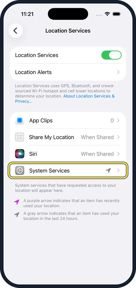 iPhone screen: Look at System Services