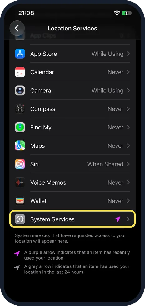 iPhone screen: Look at System Services