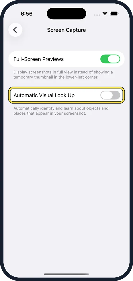 iPhone screen: Decide about Automatic Visual Look Up