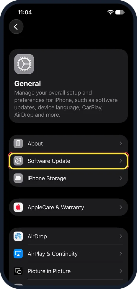 iPhone screen: Tap Software Update