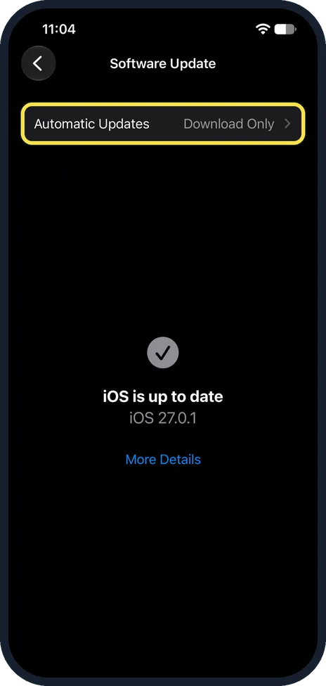 iPhone screen: Look for Beta Updates under Automatic Updates