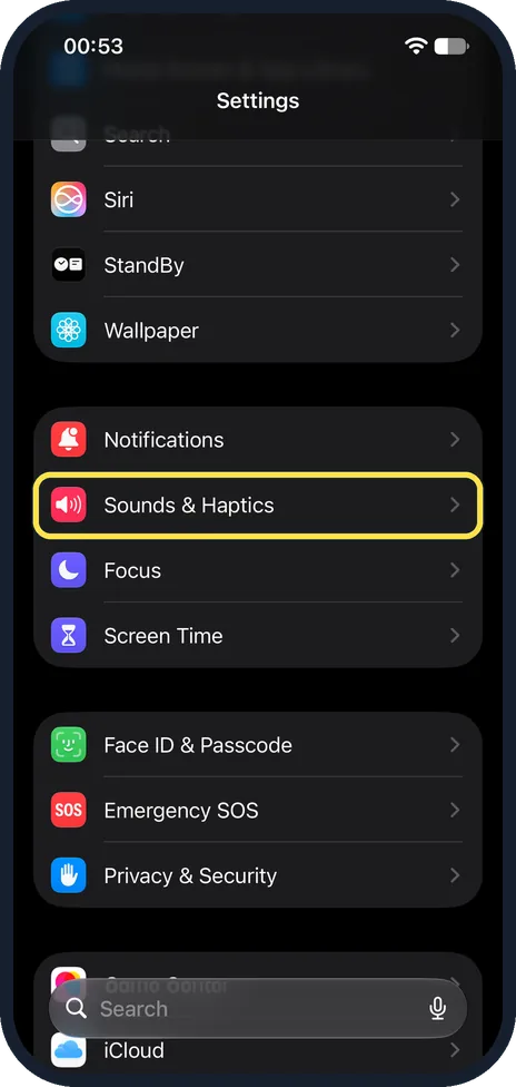 iPhone screen: Go to Sounds & Haptics