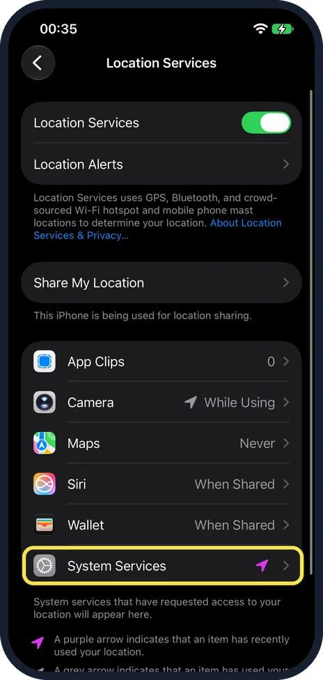iPhone screen: Scroll down and tap System Services