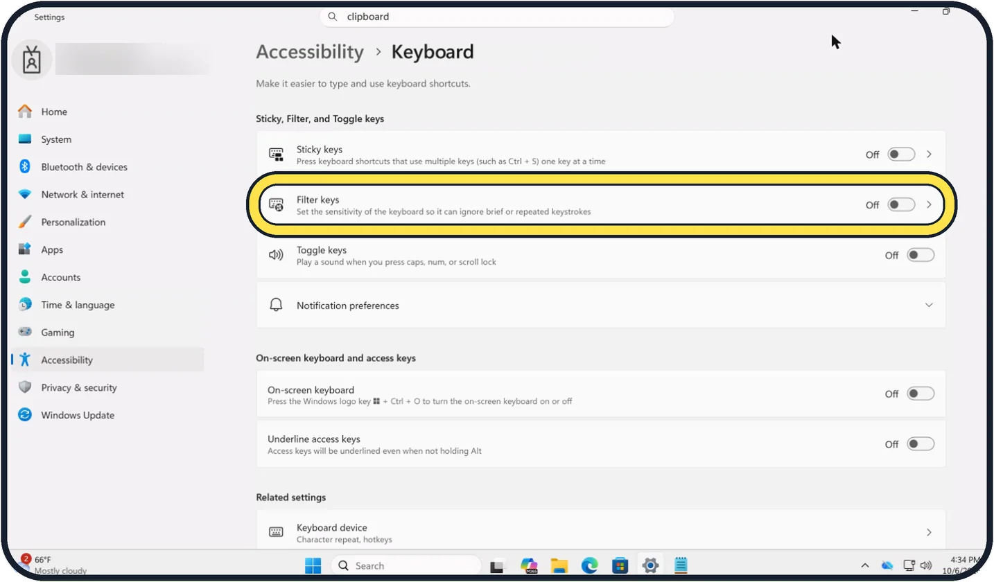 Windows screenshot: Do the same for Filter keys