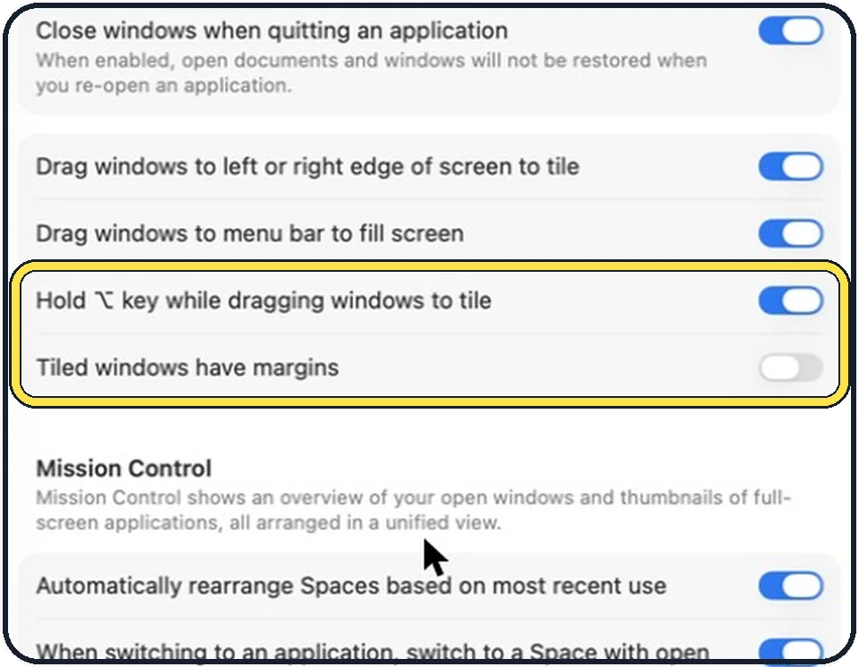 Mac screenshot: Decide about the Option key