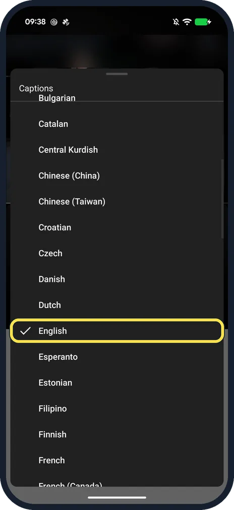 Android screenshot: Pick a language