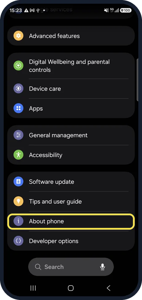 Screenshot from the guide: How to turn on Developer options on a Samsung Galaxy
