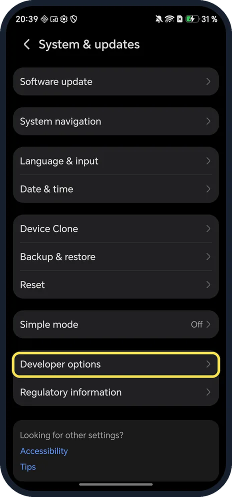 Android screenshot: Open System & updates, Developer options