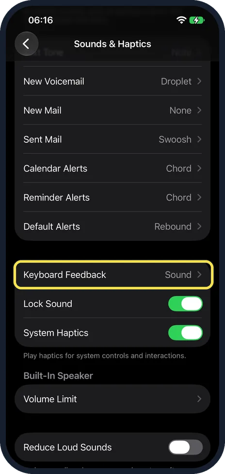 iPhone screen: Or: open Sounds & Haptics and tap Keyboard Feedback