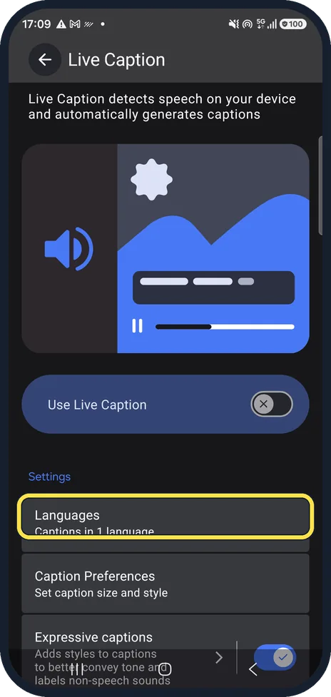 Android screenshot: Check the language
