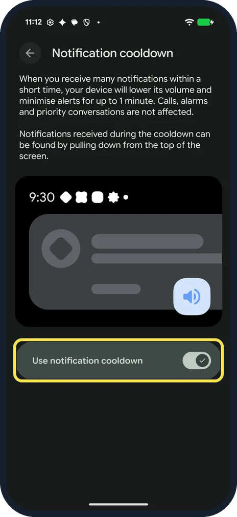 Android screenshot: Turn on Use notification cooldown