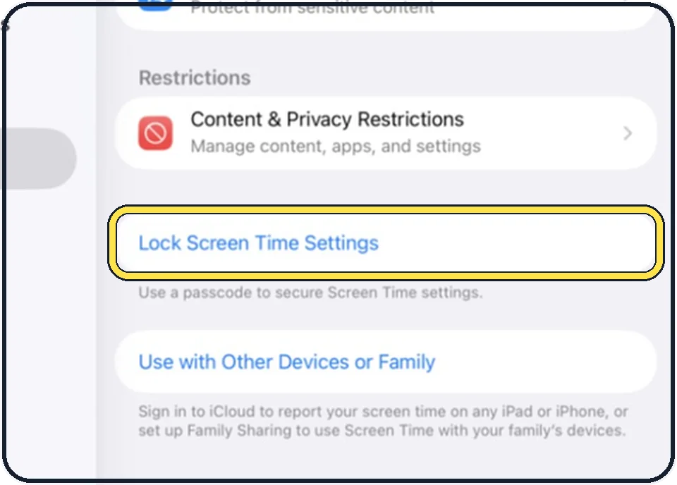 iPad screenshot: Protect the setting on a child's iPad