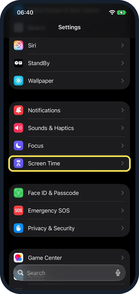 Screenshot from the guide: How to turn on Screen Distance on iPhone