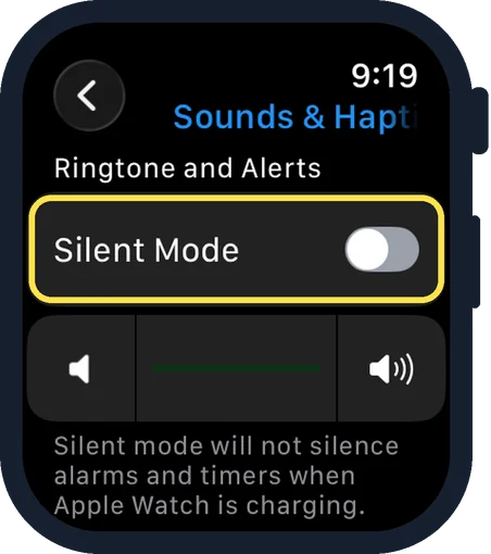 Apple Watch screen: Switch on Silent Mode