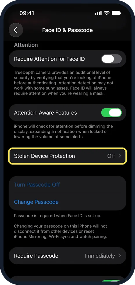 iPhone screen: Tap Stolen Device Protection