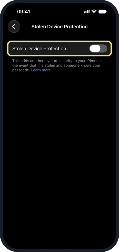 iPhone screen: Switch on Stolen Device Protection