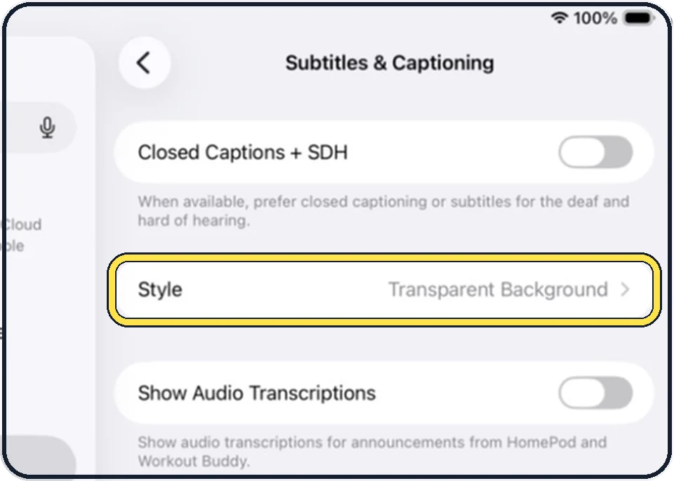 iPad screenshot: Change how subtitles look
