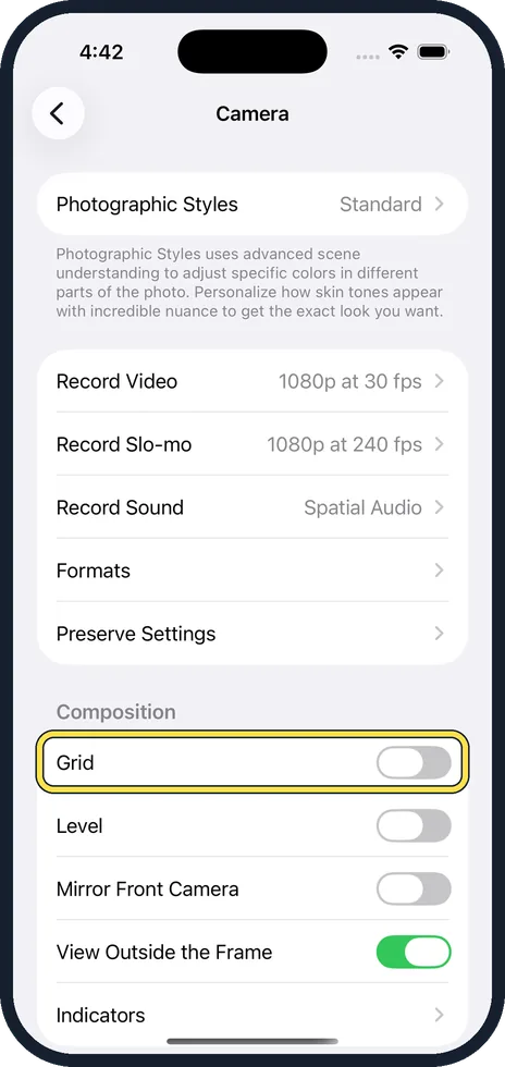 iPhone screen: Switch on Grid