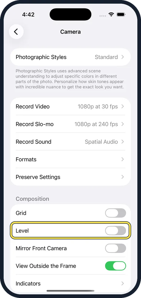 iPhone screen: Switch on Level