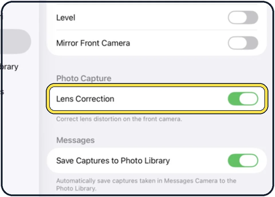 iPad screenshot: Look at Lens Correction