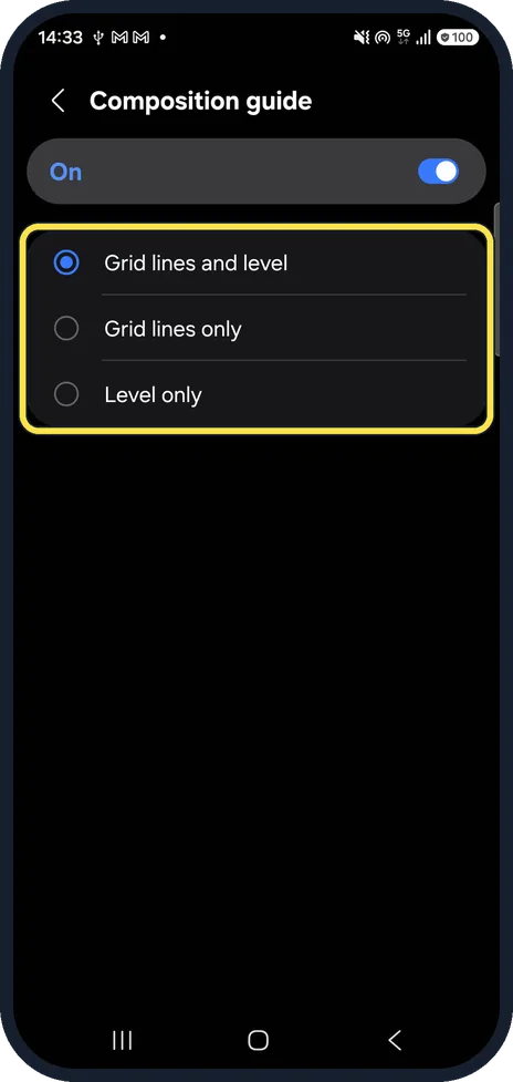 Android screenshot: Choose grid, level or both