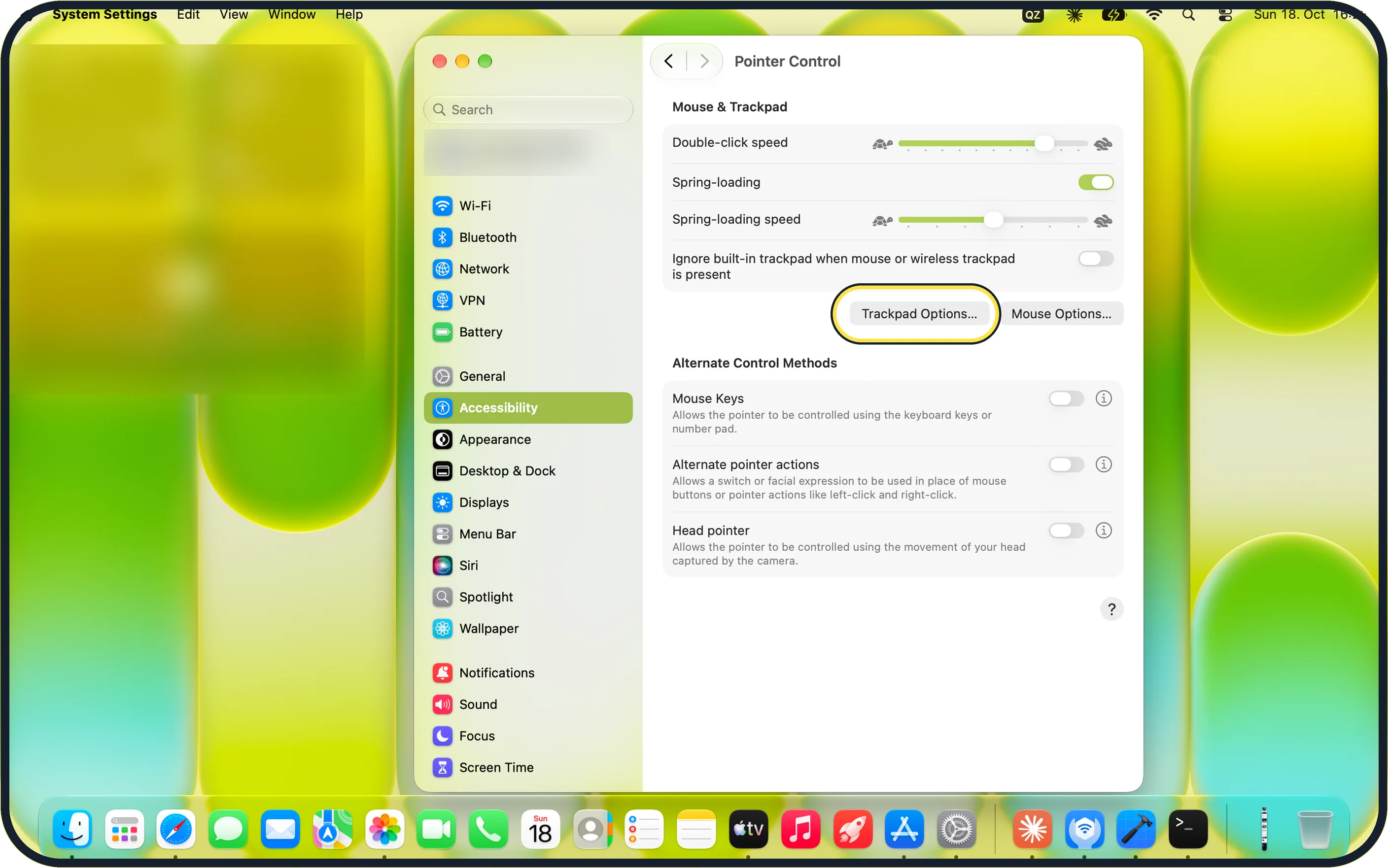 Mac screenshot: Click Trackpad Options