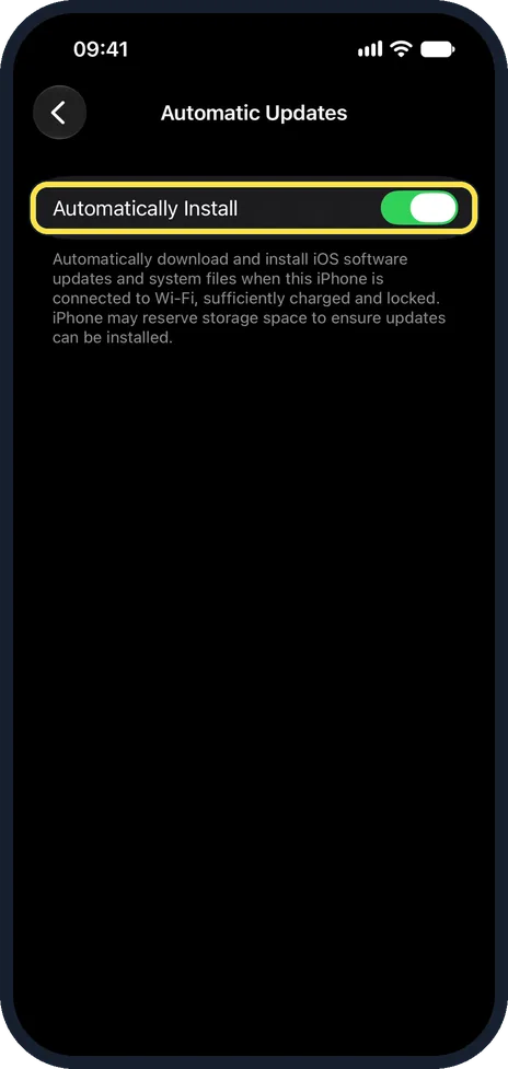 iPhone screen: Optional: switch on automatic updates