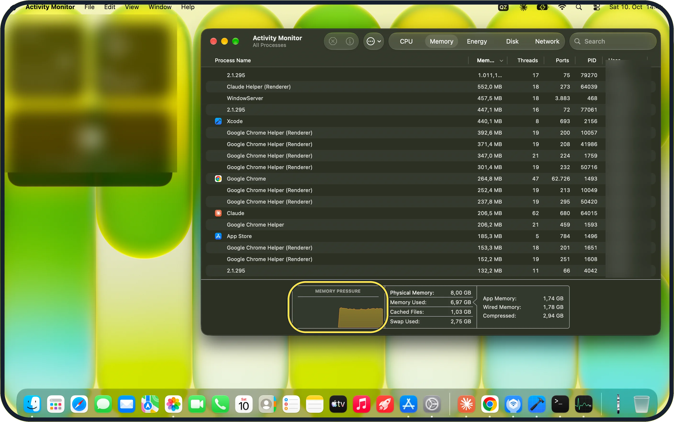 Mac screenshot: Look at the Memory tab
