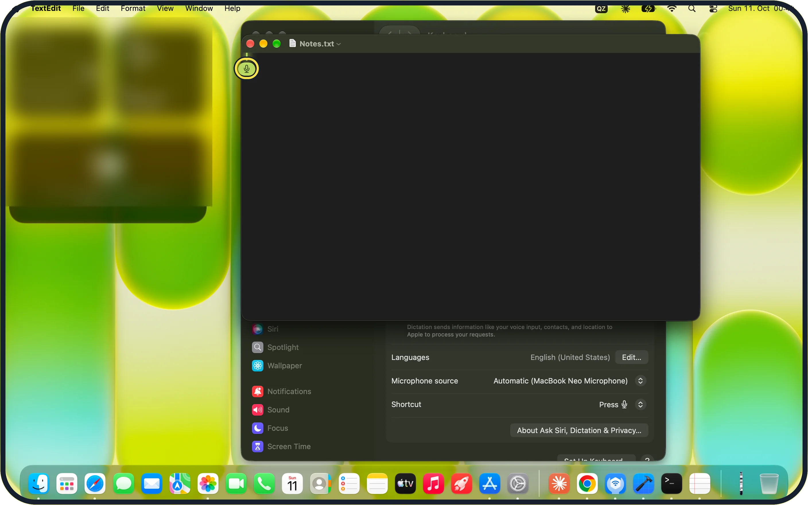 Mac screenshot: Click in a text field and start dictating