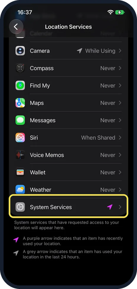 iPhone screen: Scroll down and tap System Services