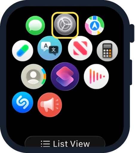 Apple Watch screen: Open Settings on the watch