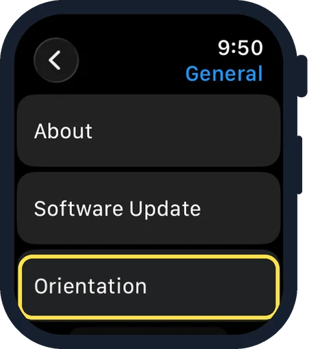 Apple Watch screen: Tap Orientation