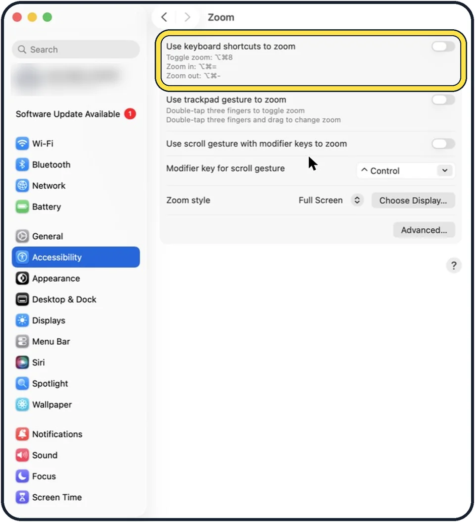Mac screenshot: Switch on Use keyboard shortcuts to zoom