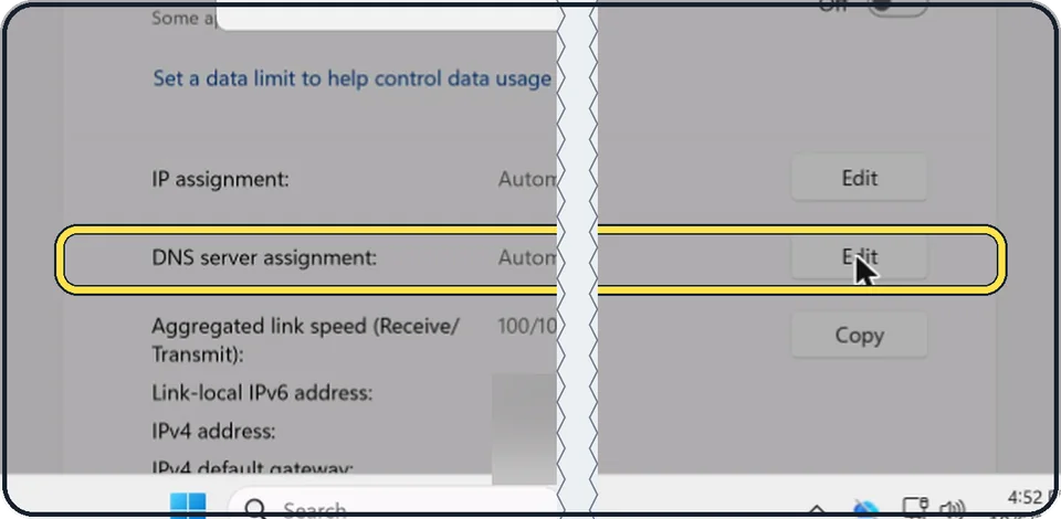 Windows screenshot: Check the DNS setting