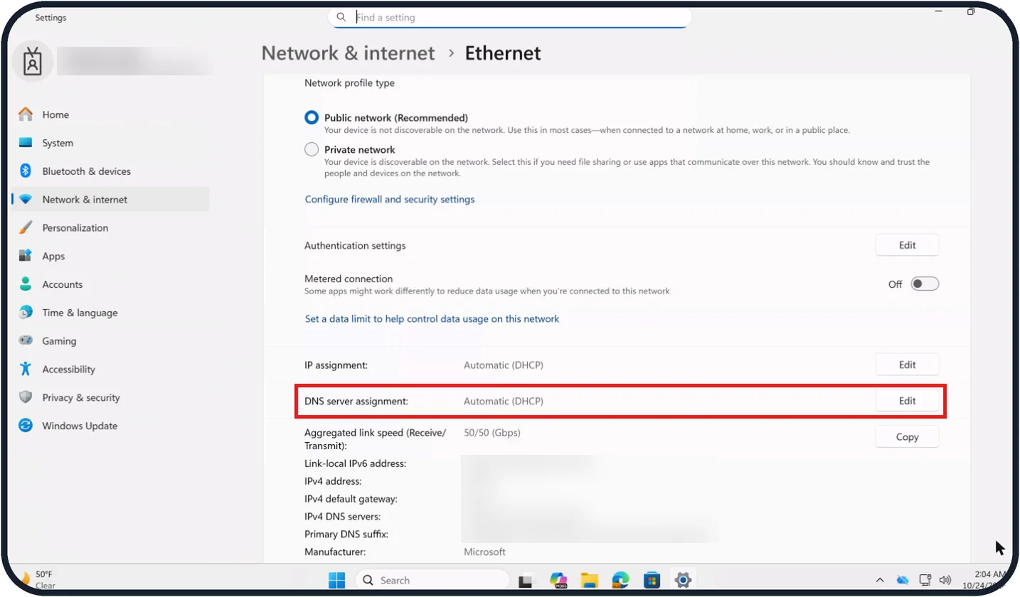 Windows screenshot: Check the DNS setting