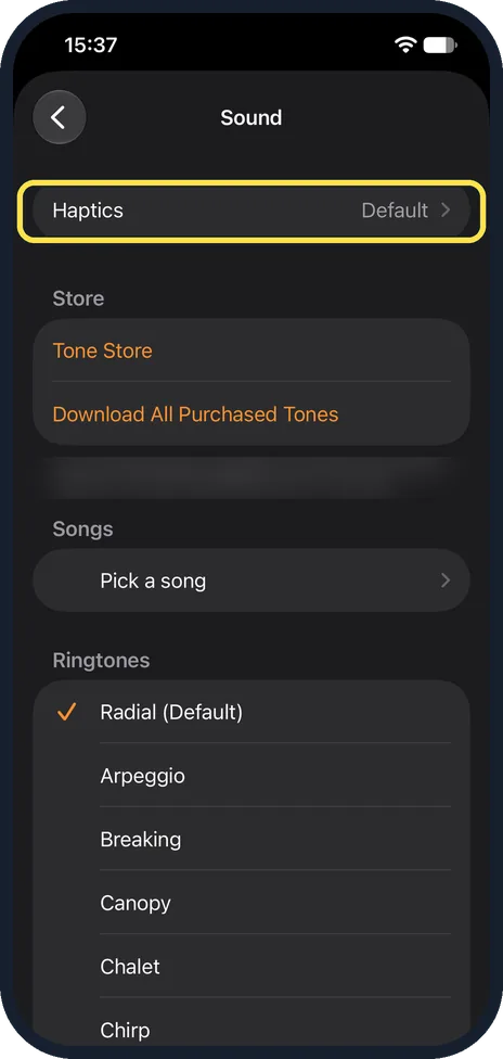 iPhone screen: Check the alarm sound