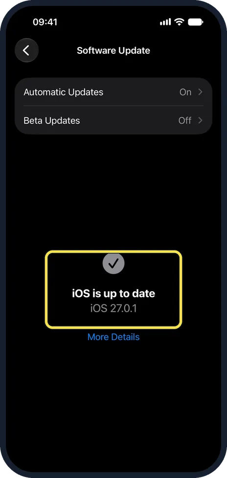 iPhone screen: Restart and update