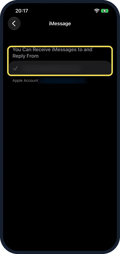 iPhone screen: Use your email address for now
