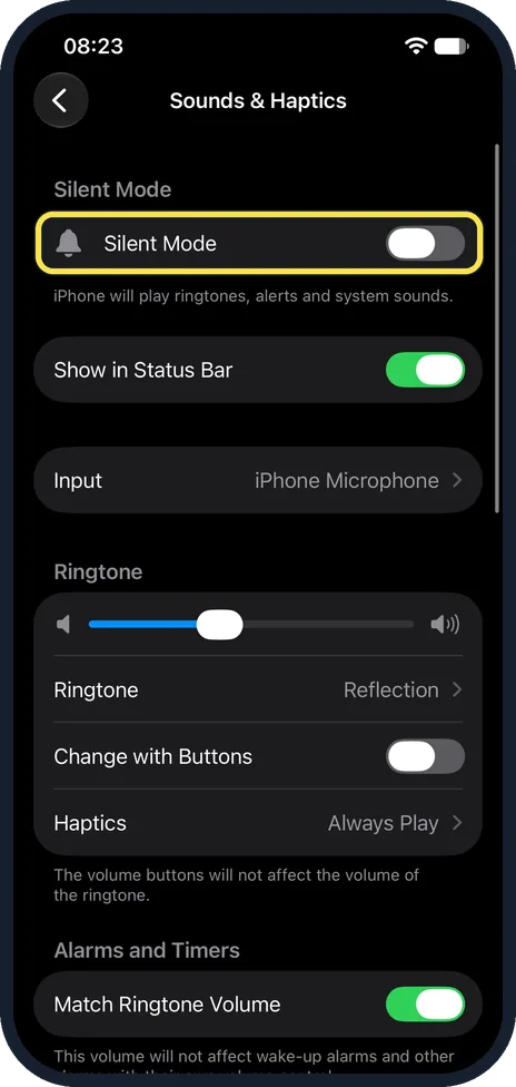 Screenshot from the guide: iPhone not ringing for calls? 7 settings to check